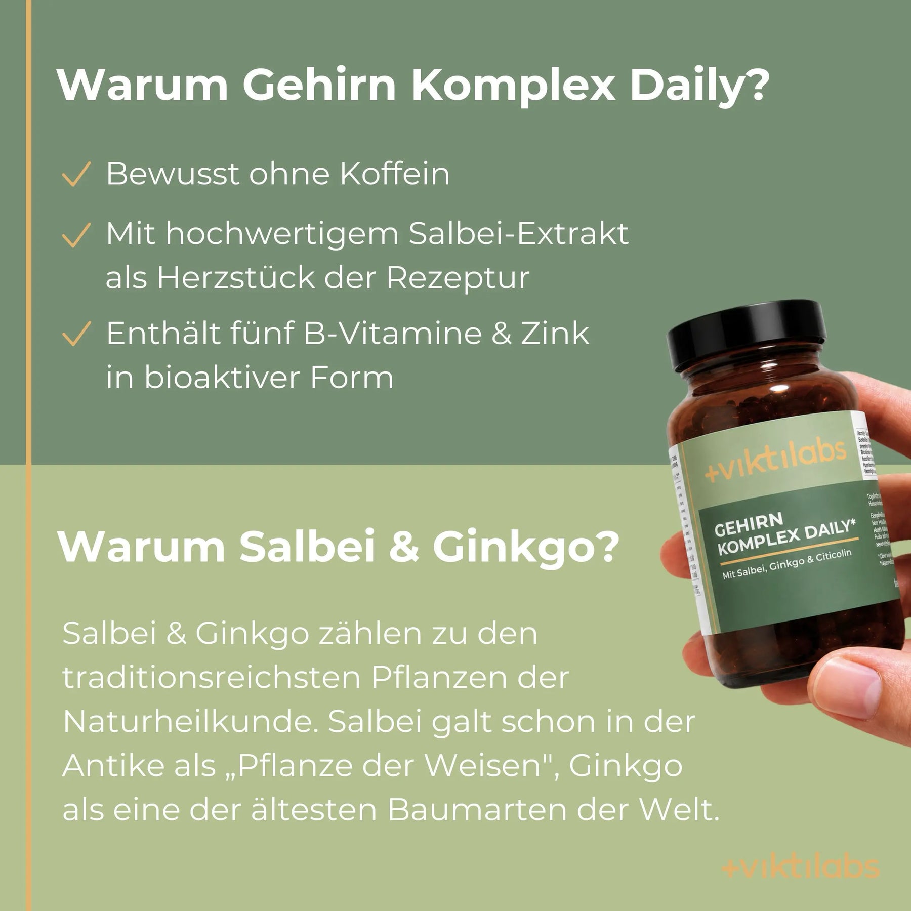 viktilabs-gehirn-komplex-infografik-warum-unser-produkt [lang-de]