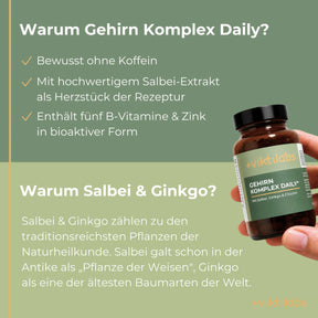 viktilabs-gehirn-komplex-infografik-warum-unser-produkt [lang-de]