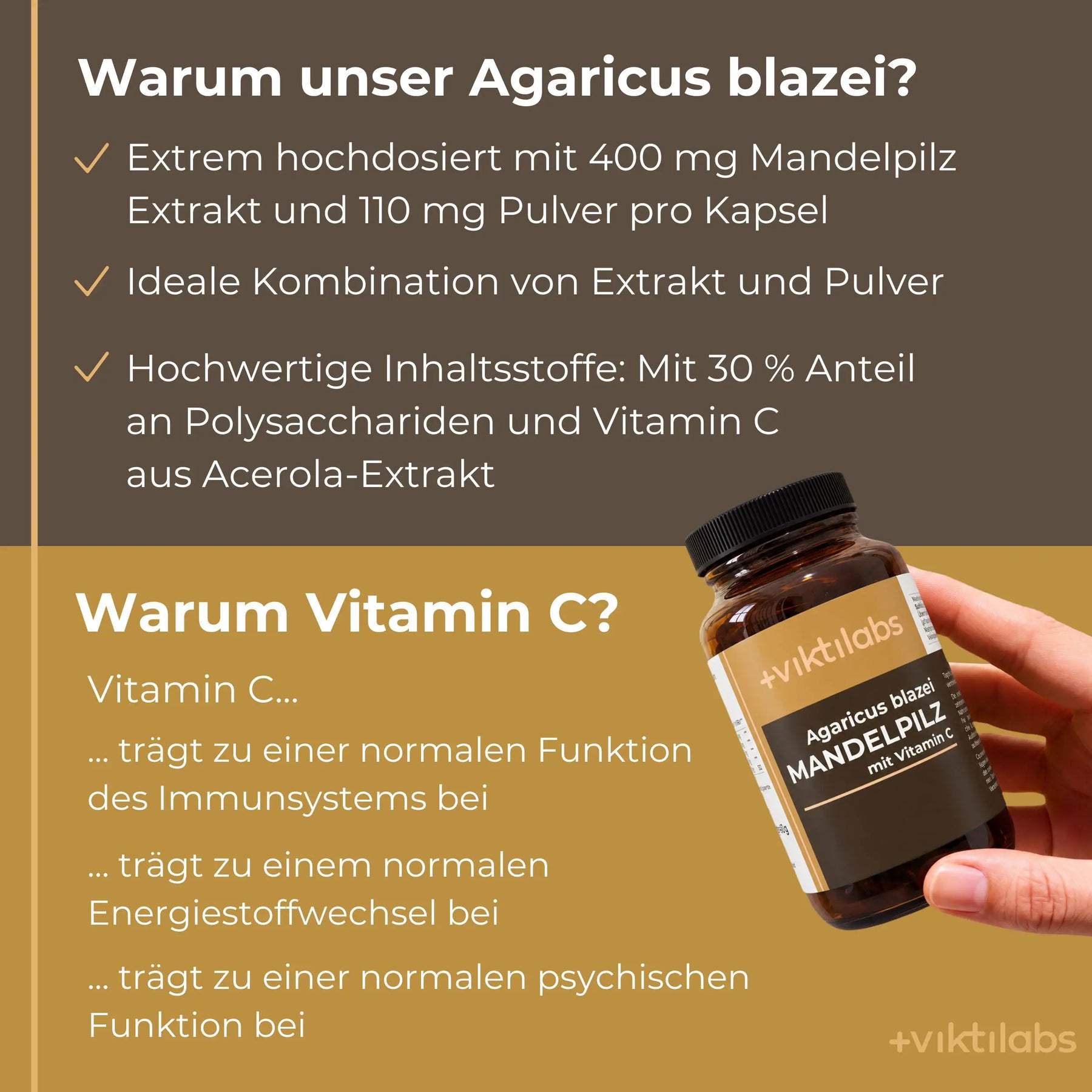 viktilabs-mandelpilz-infografik-warum-unser-produkt [lang-de]