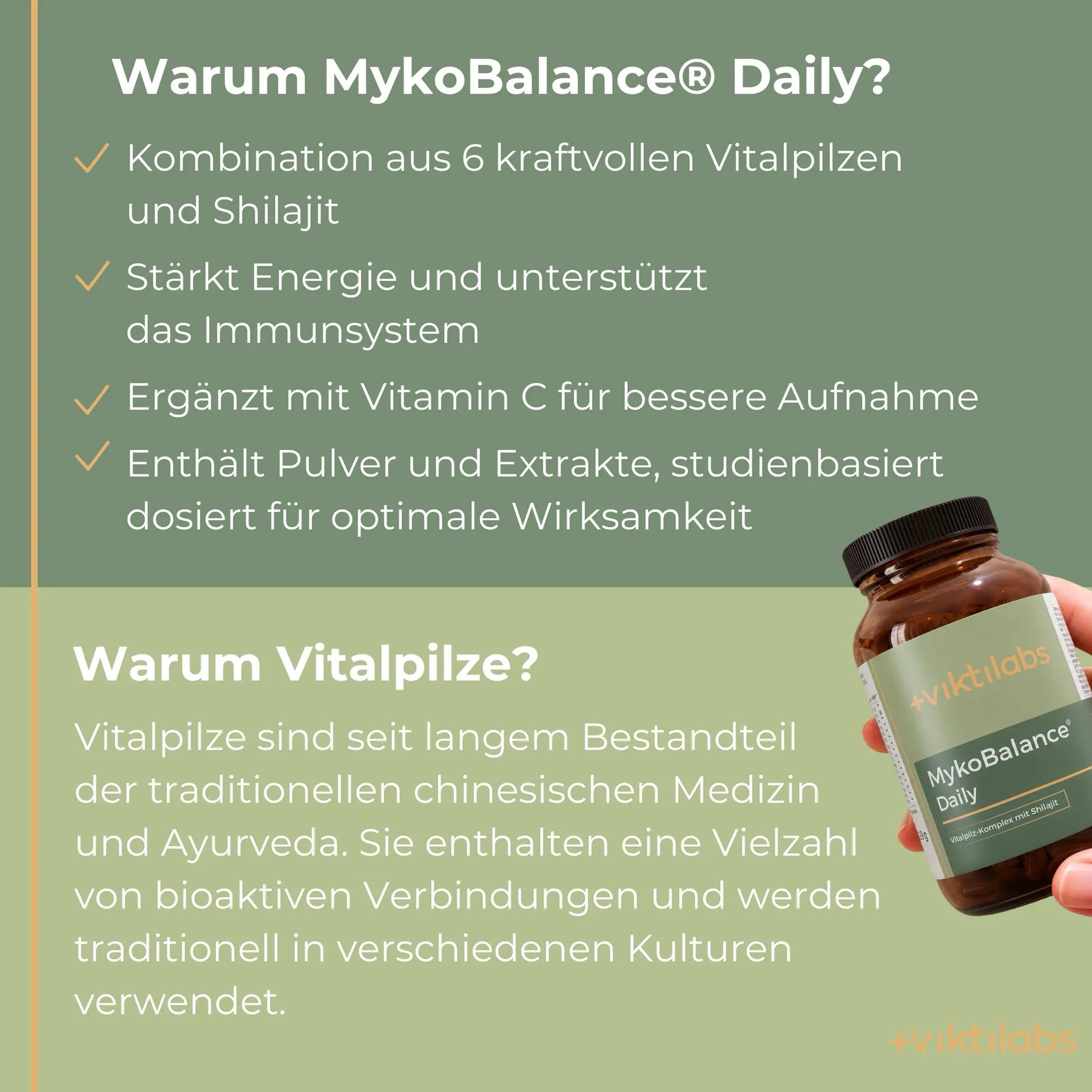 viktilabs-myko-balance-infografik-warum-unser-produkt [lang-de]