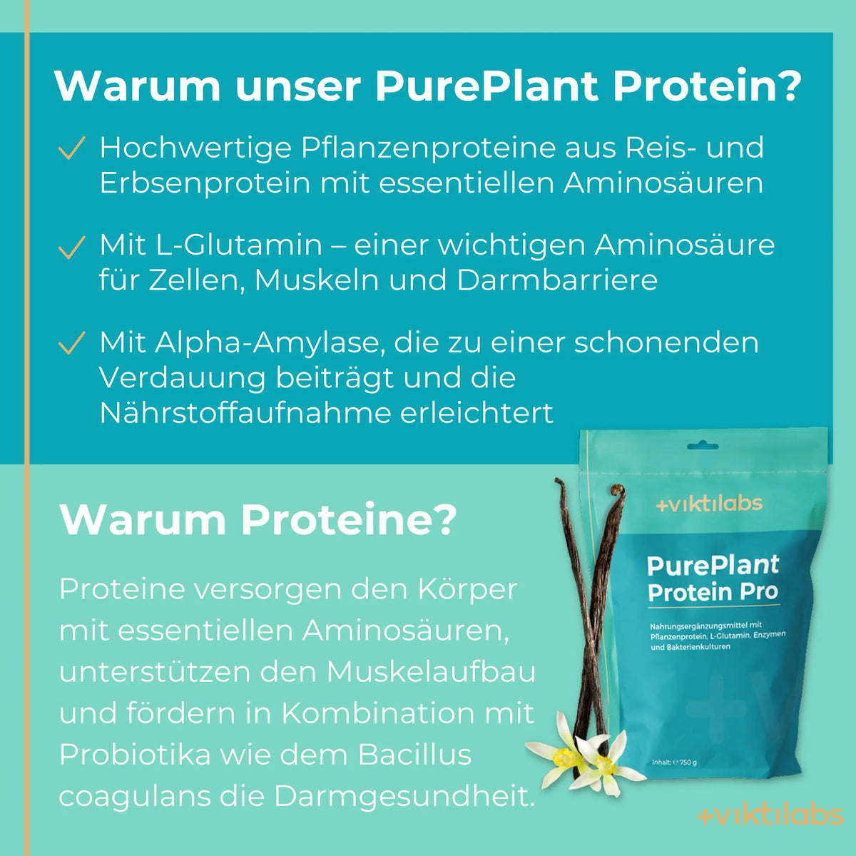 viktilabs-pure-plant-protein-pro-vanille-infografik-warum-unser-produkt [lang-de]
