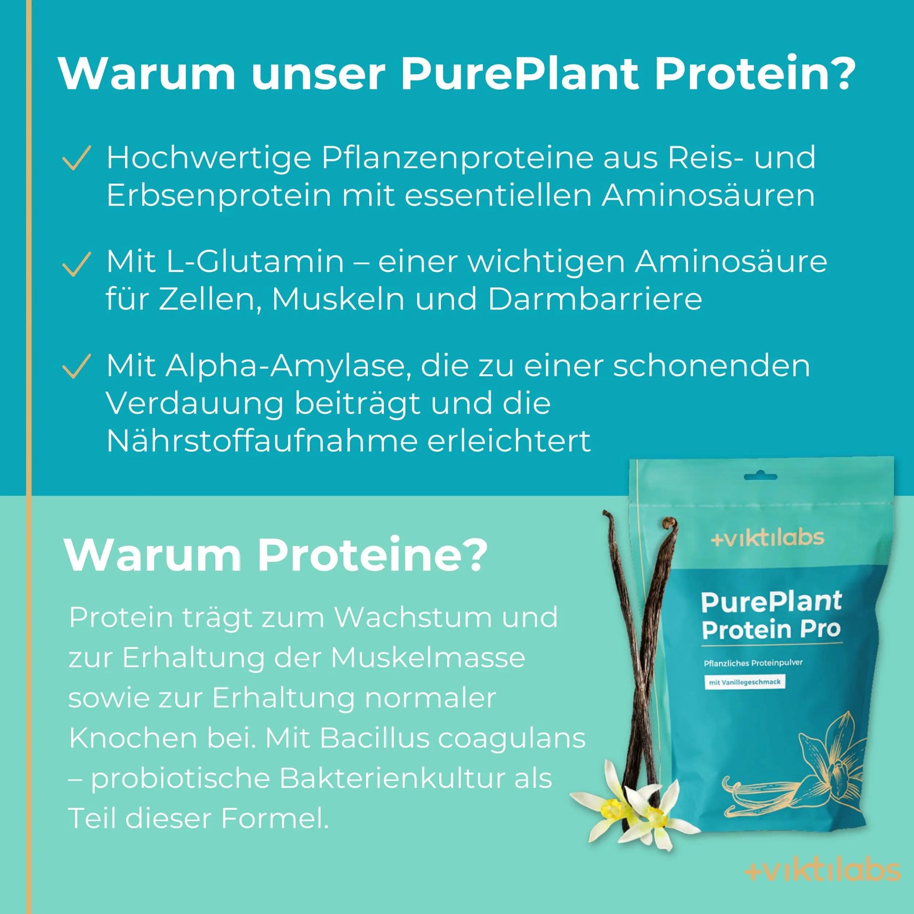 viktilabs-pure-plant-protein-pro-vanille-infografik [lang-de]