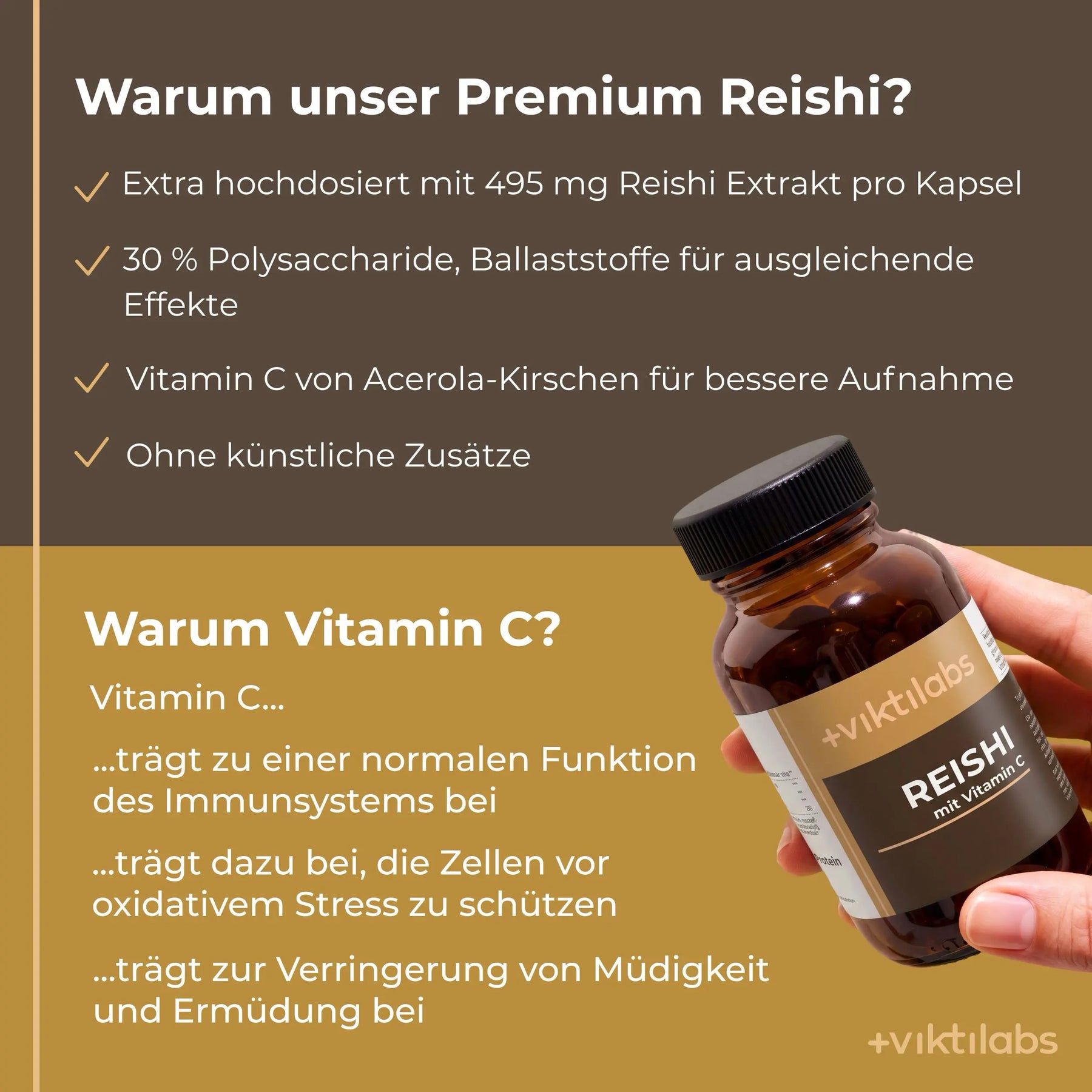 viktilabs-reishi-infografik-warum-unser-produkt [lang-de]