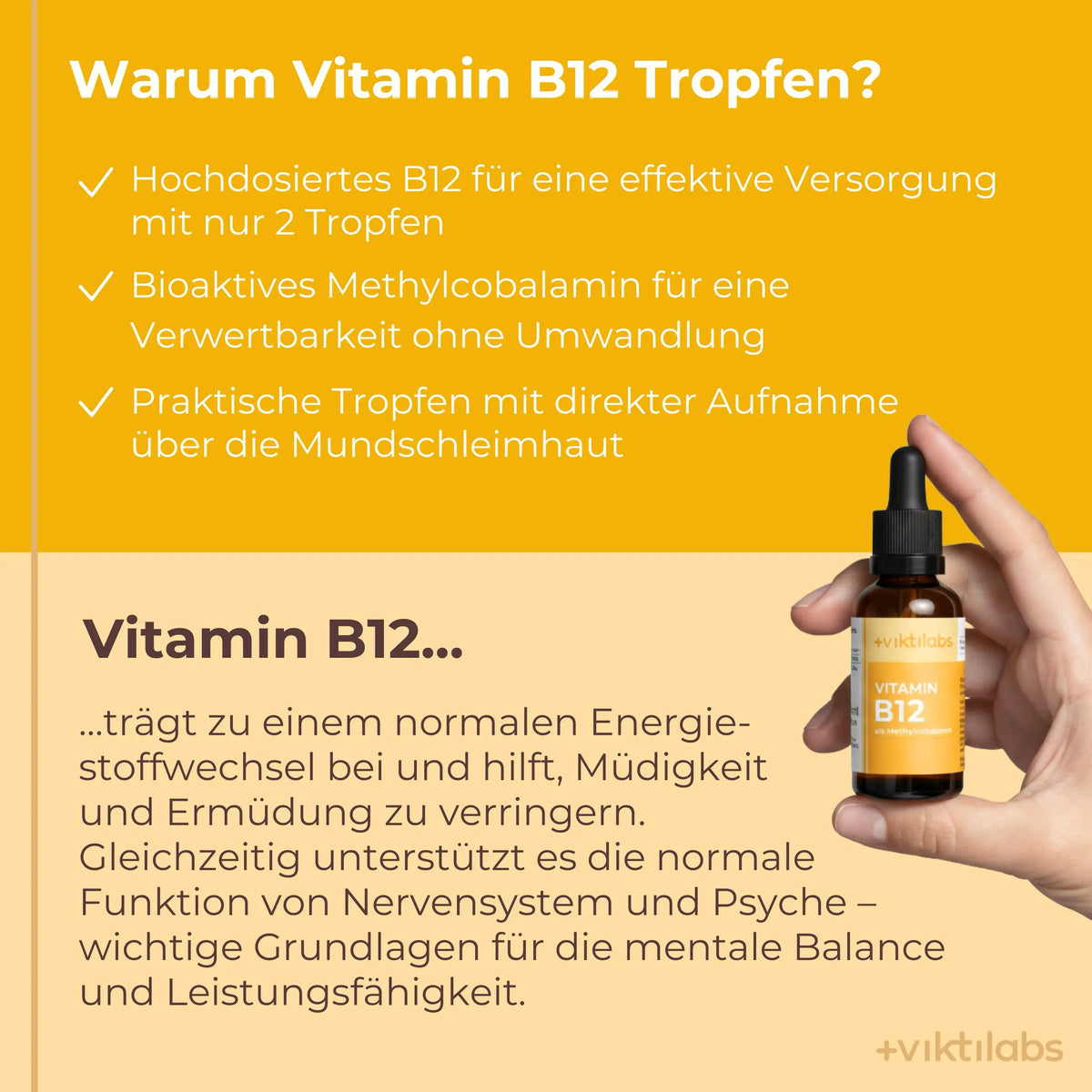viktilabs-vitaminb12-infografik-warum-unser-produkt [lang-de]