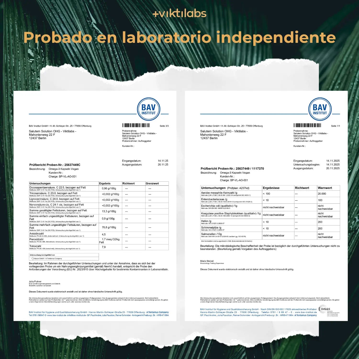 viktilabs-omega-3-v-kapseln-zertifikat-2 [lang-es]