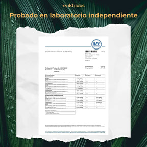 viktilabs-pureplant-zertifikat-2 [lang-es]