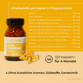05-viktilabs-vit-b-komplex [lang-de]