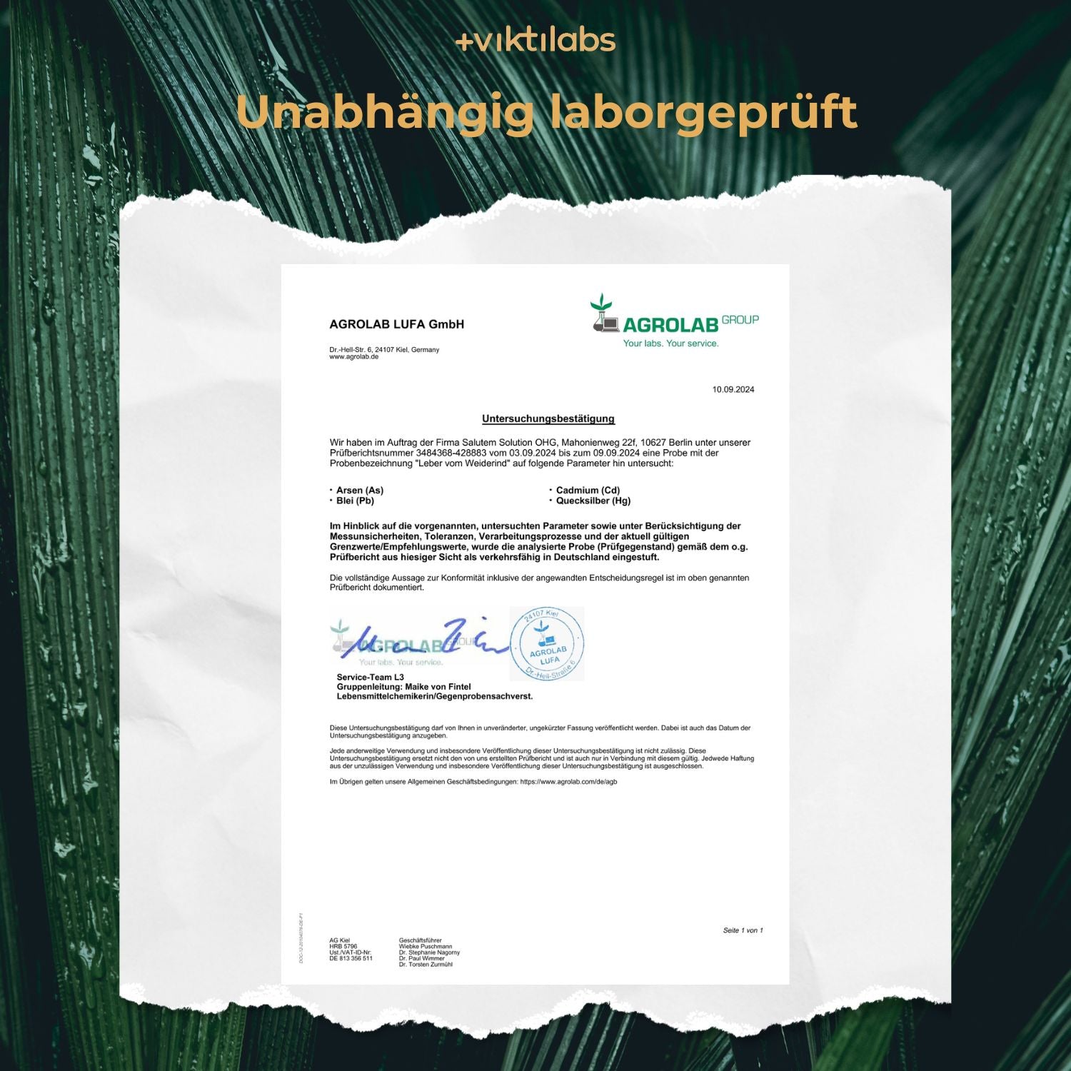 Viktilabs Analyse Untersuchung 2024 Leber vom Weiderind [lang-de]