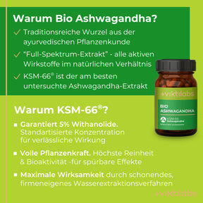 viktilabs-Ashwagandha-infografik-warum-unser-produkt [lang-de]