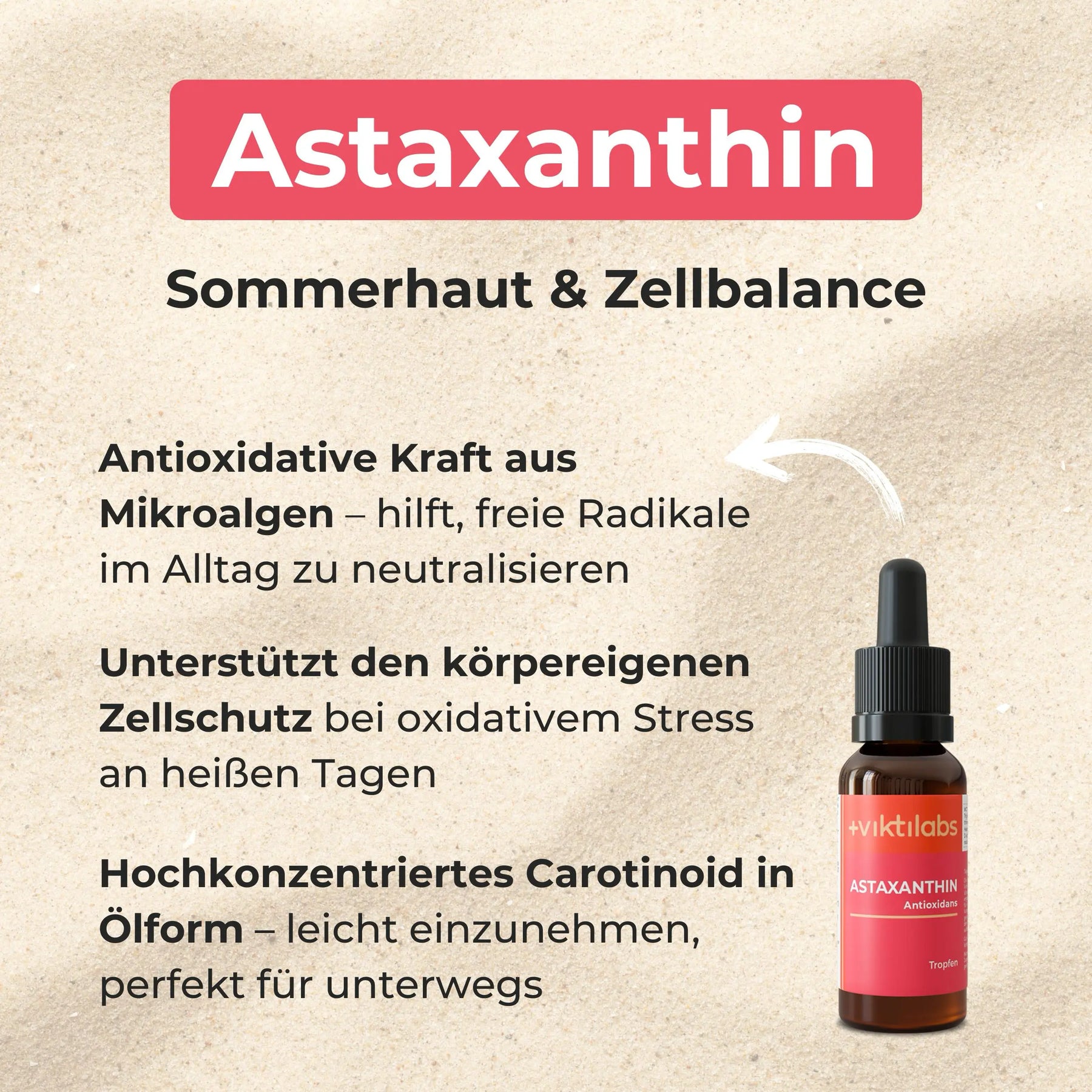 viktilabs-bundle-summer-produkt-2 [lang-de]