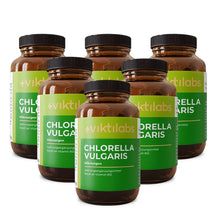 viktilabs-chlorella-vulgaris-6 non-perspective