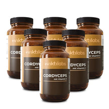 viktilabs-cordyceps-6 non-perspective