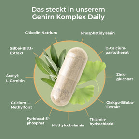 viktilabs-gehirn-komplex-infografik-inhaltsstoffe [lang-de]