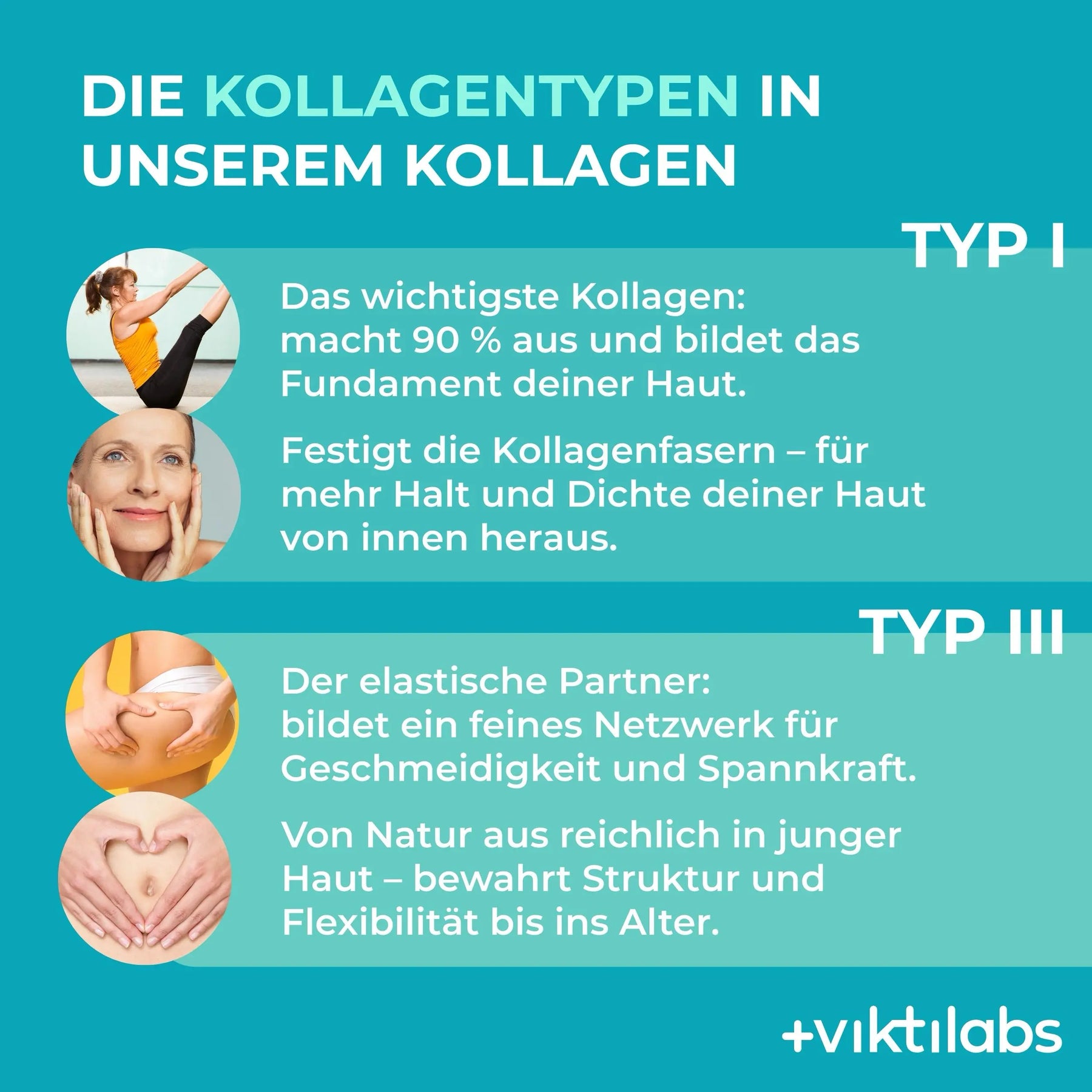 viktilabs-kollagen-infografik-kollagentyp [lang-de]