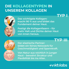 viktilabs-kollagen-infografik-kollagentyp [lang-de]