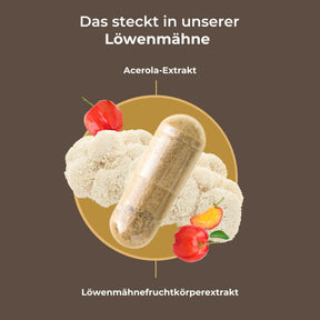 viktilabs-löwenmähne-infografik-inhaltsstoffe [lang-de]