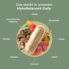 viktilabs-myko-balance-infografik-inhaltsstoffe [lang-de]