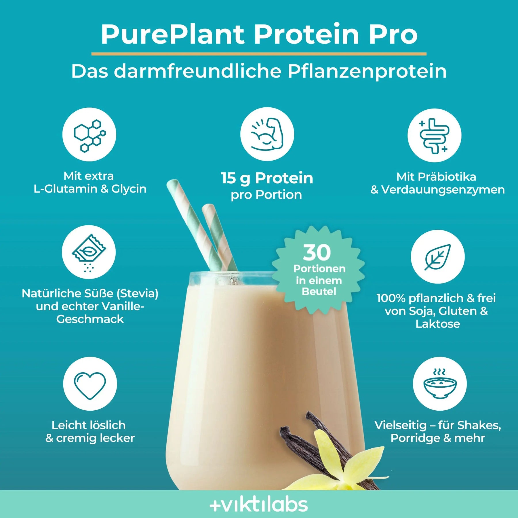 viktilabs-pure-plant-protein-pro-vanille-infografik [lang-de]