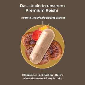 viktilabs-reishi-infografik-inhaltsstoffe [lang-de]