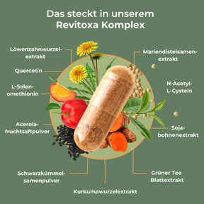 viktilabs-revitoxa-infografik-inhaltsstoffe [lang-de]