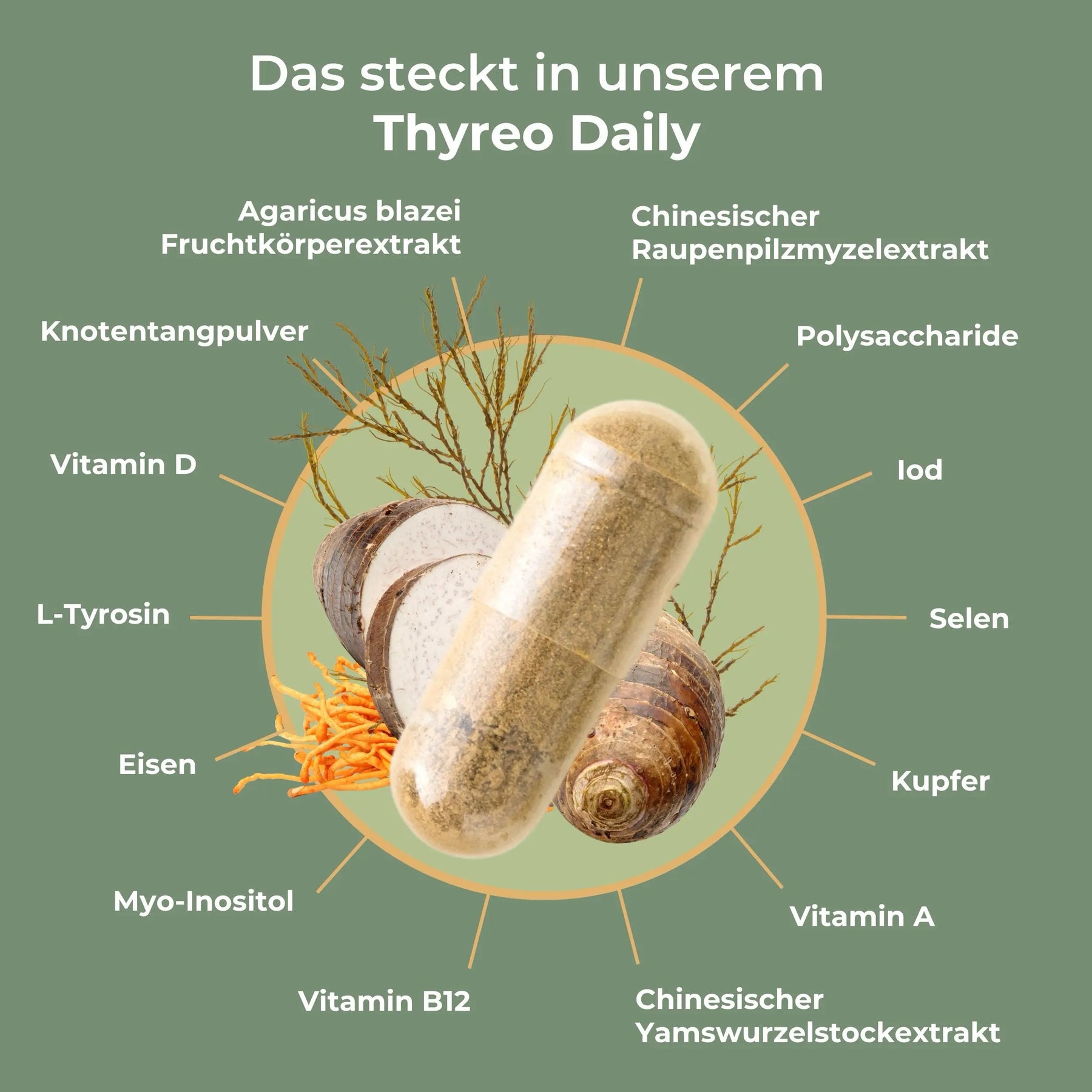 viktilabs-thyreo-daily-infografik-inhaltsstoffe [lang-de]