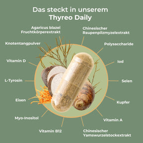 viktilabs-thyreo-daily-infografik-inhaltsstoffe [lang-de]