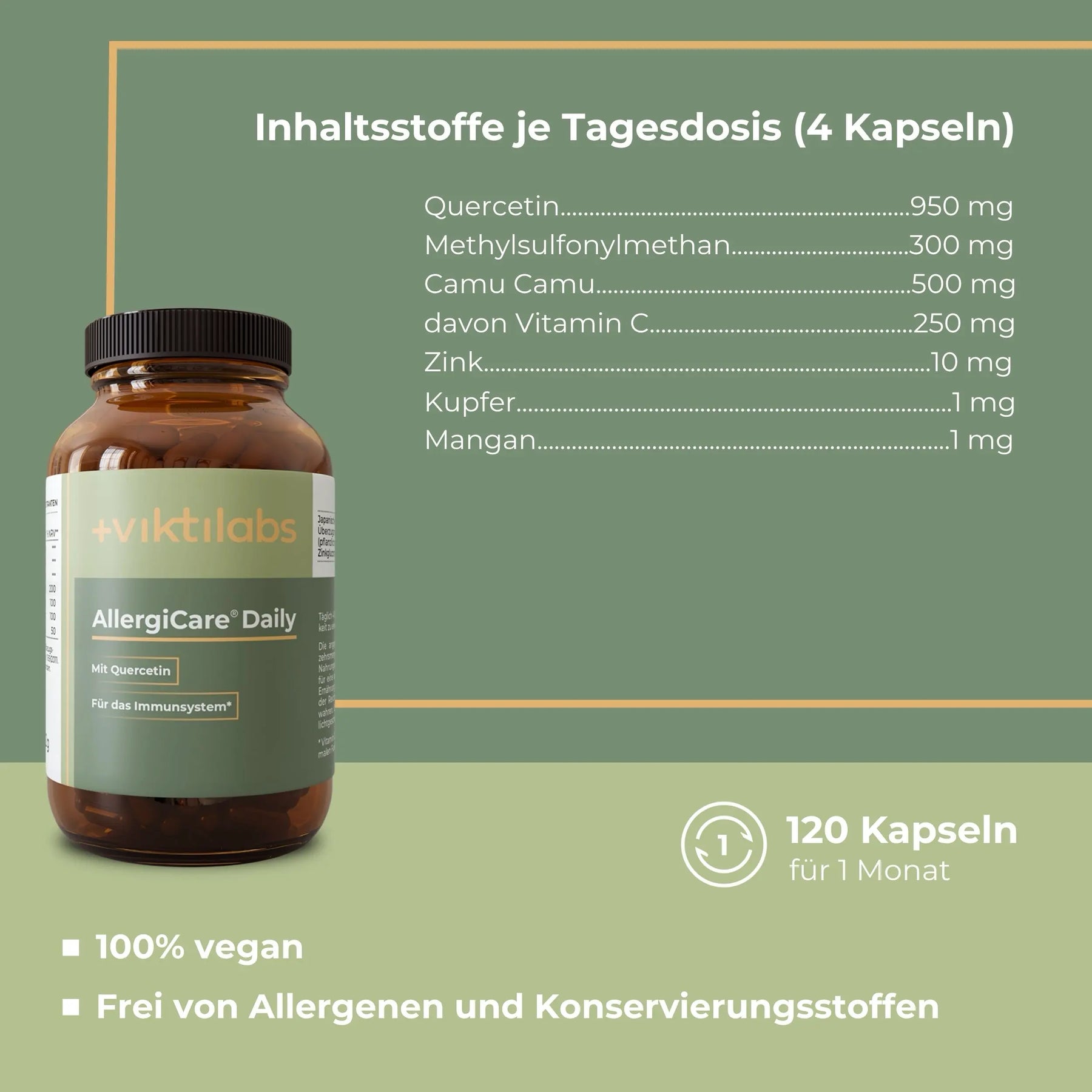 viktilabs-allergicare-infografik-inhaltsstoffe-pro-10g [lang-de]