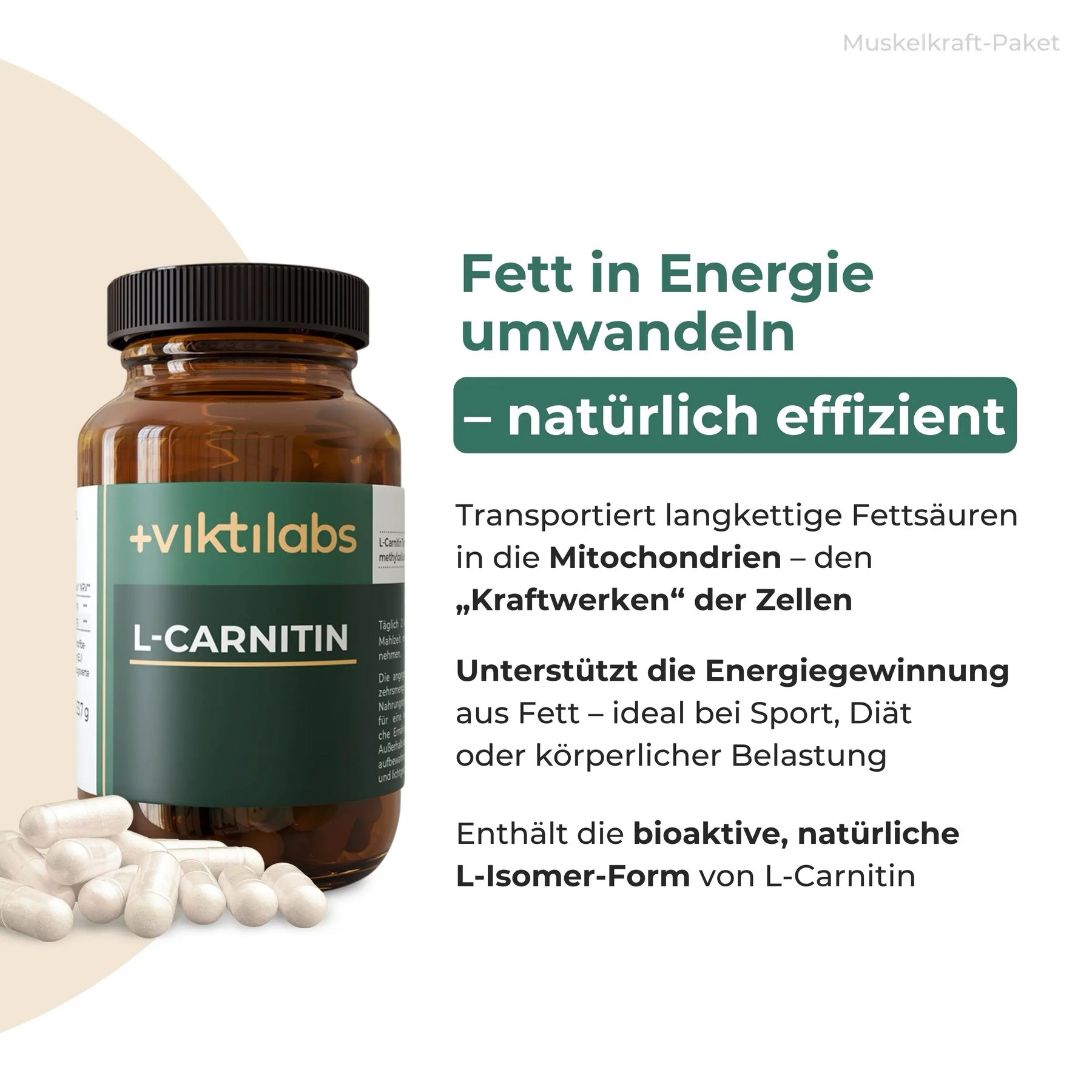 viktilabs-bundle-muskelkraft-paket-produkt-3 [lang-de]