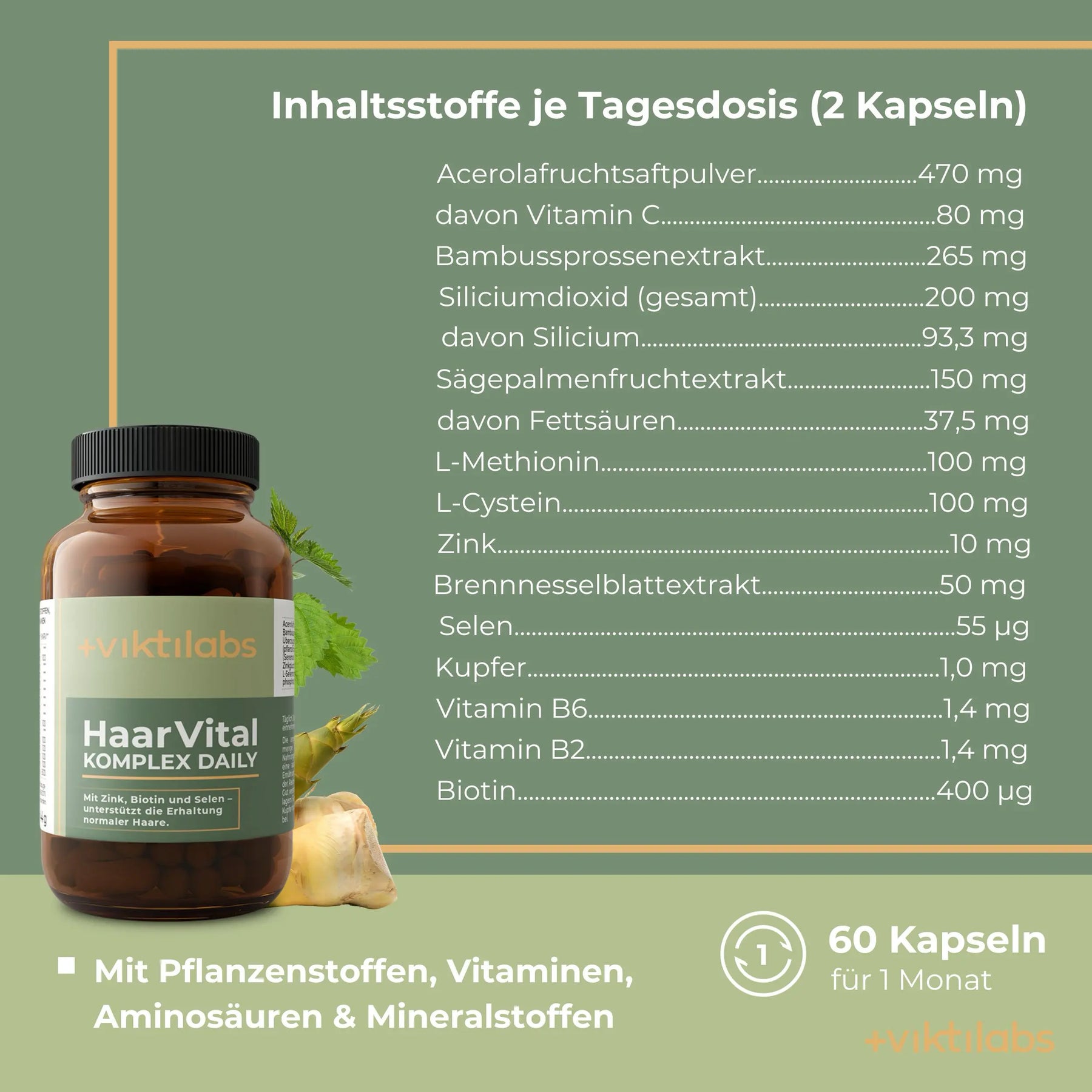 viktilabs-haarvital-komplex-infografik-inhaltsstoffe-pro-portion [lang-de]