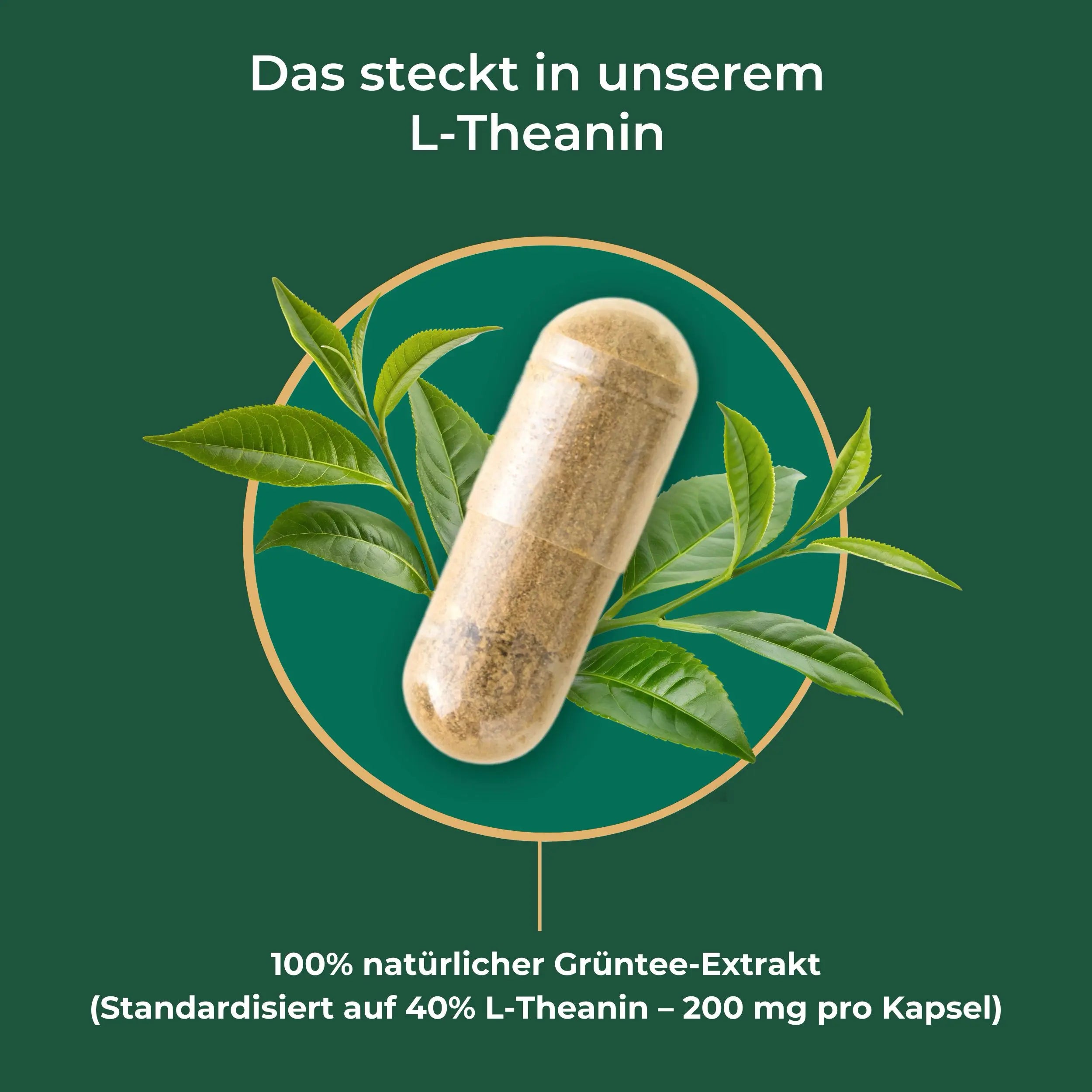 viktilabs-l-theanin-infografik-inhaltsstoffe [lang-de]