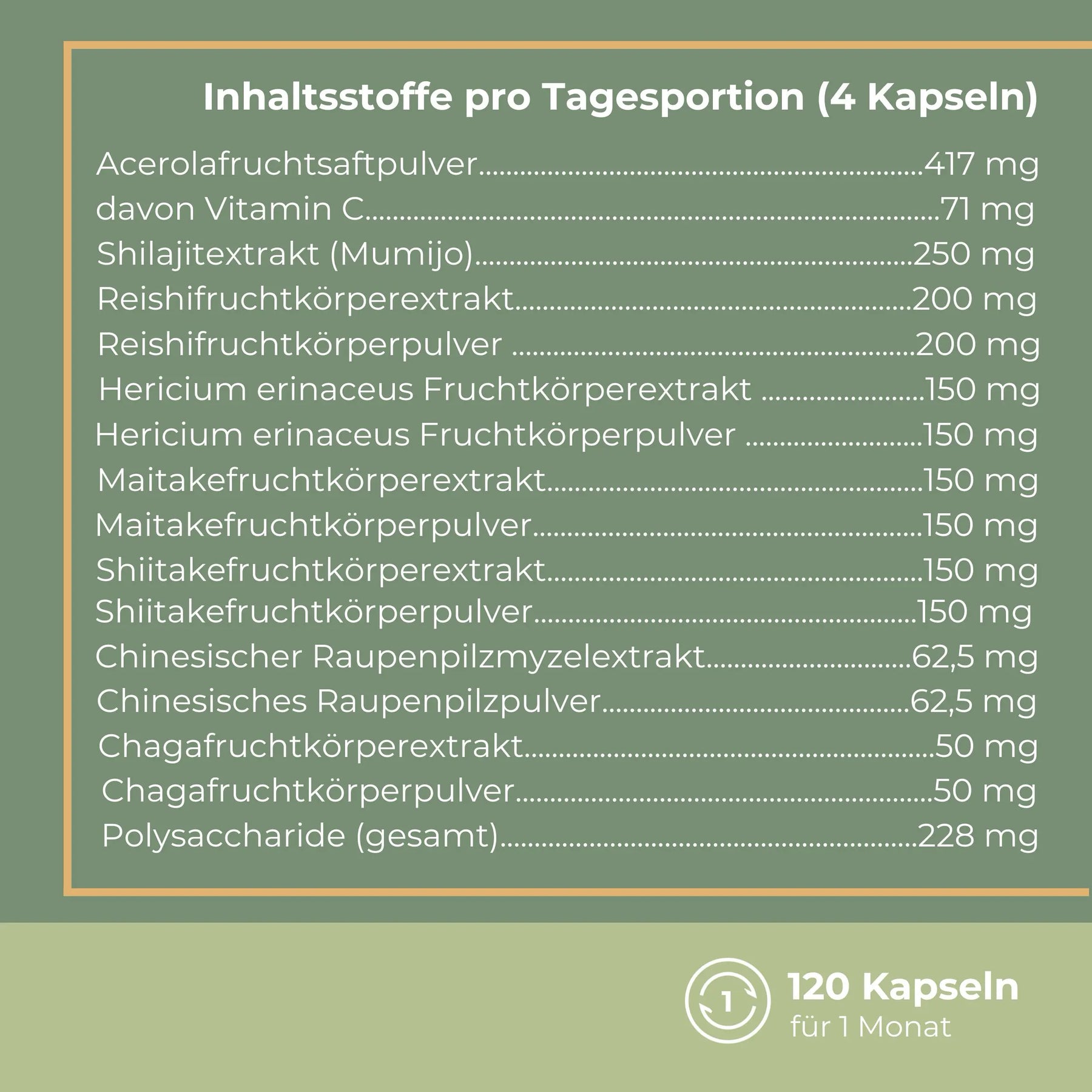 viktilabs-myko-balance-infografik-inhaltsstoffe-pro-portion [lang-de]