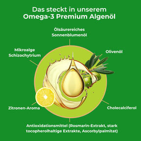 viktilabs-omega-3-vegan-infografik-inhaltsstoffe [lang-de]