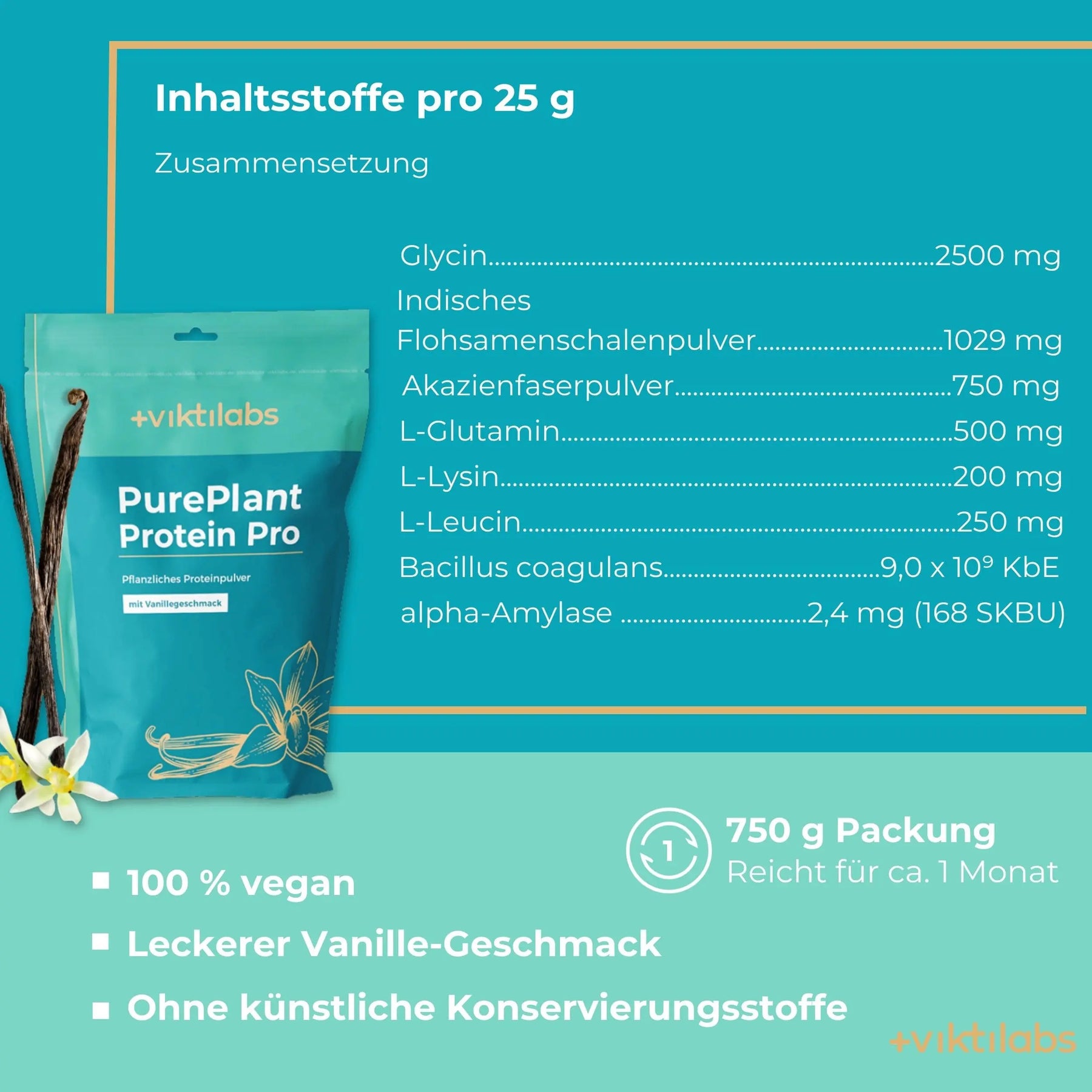 viktilabs-pure-plant-protein-pro-vanille-infografik [lang-de]