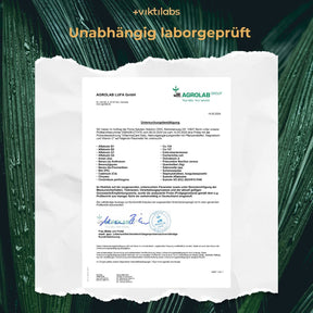 Viktilabs Analyse Untersuchung 2024 Inflammacare [lang-de]