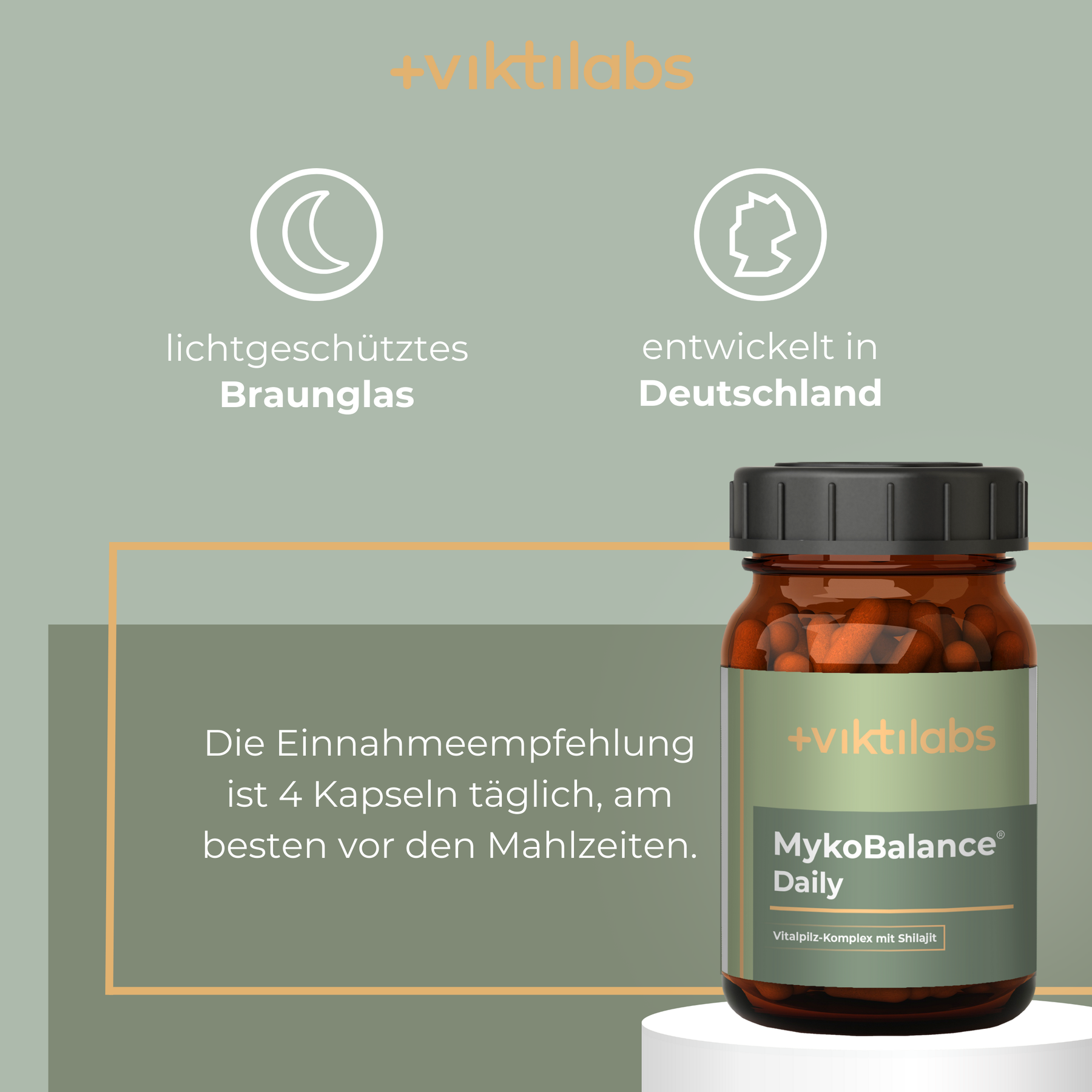 Viktilabs MykoBalance Pilzkomplex Info 3 [lang-de]