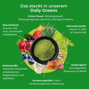 viktilabs-infografía-de-verduras-diarias-ingredientes [lang-de]