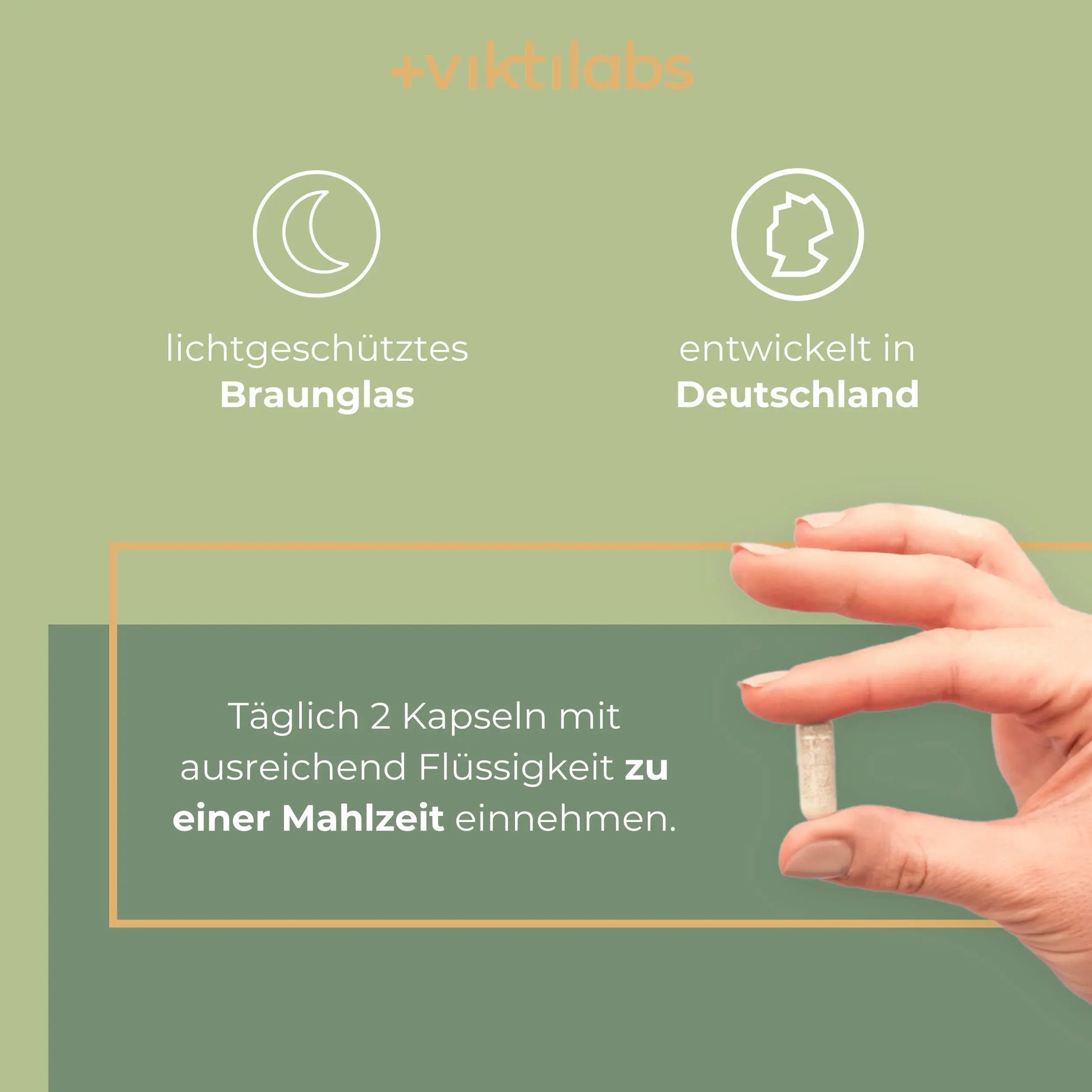 viktilabs-gehirn-komplex-infografik-anwendung [lang-de]