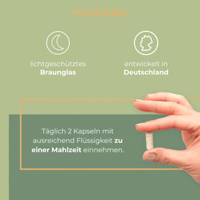 viktilabs-gehirn-komplex-infografik-anwendung [lang-de]