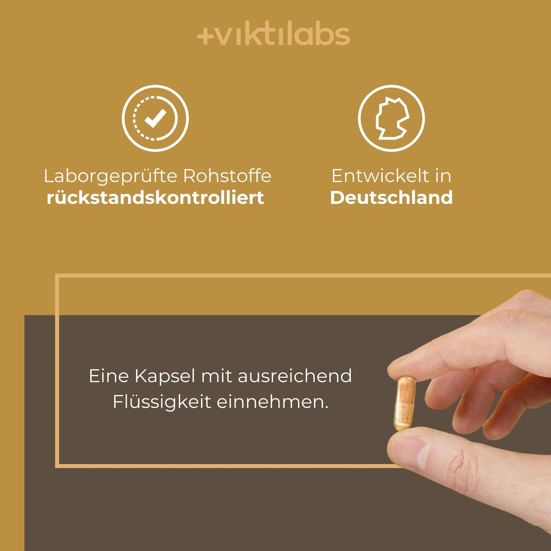 viktilabs-mandelpilz-infografik-anwendung [lang-de]
