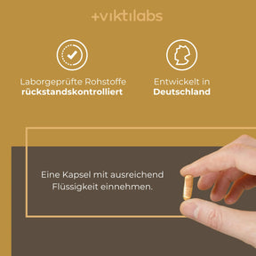 viktilabs-mandelpilz-infografik-anwendung [lang-de]