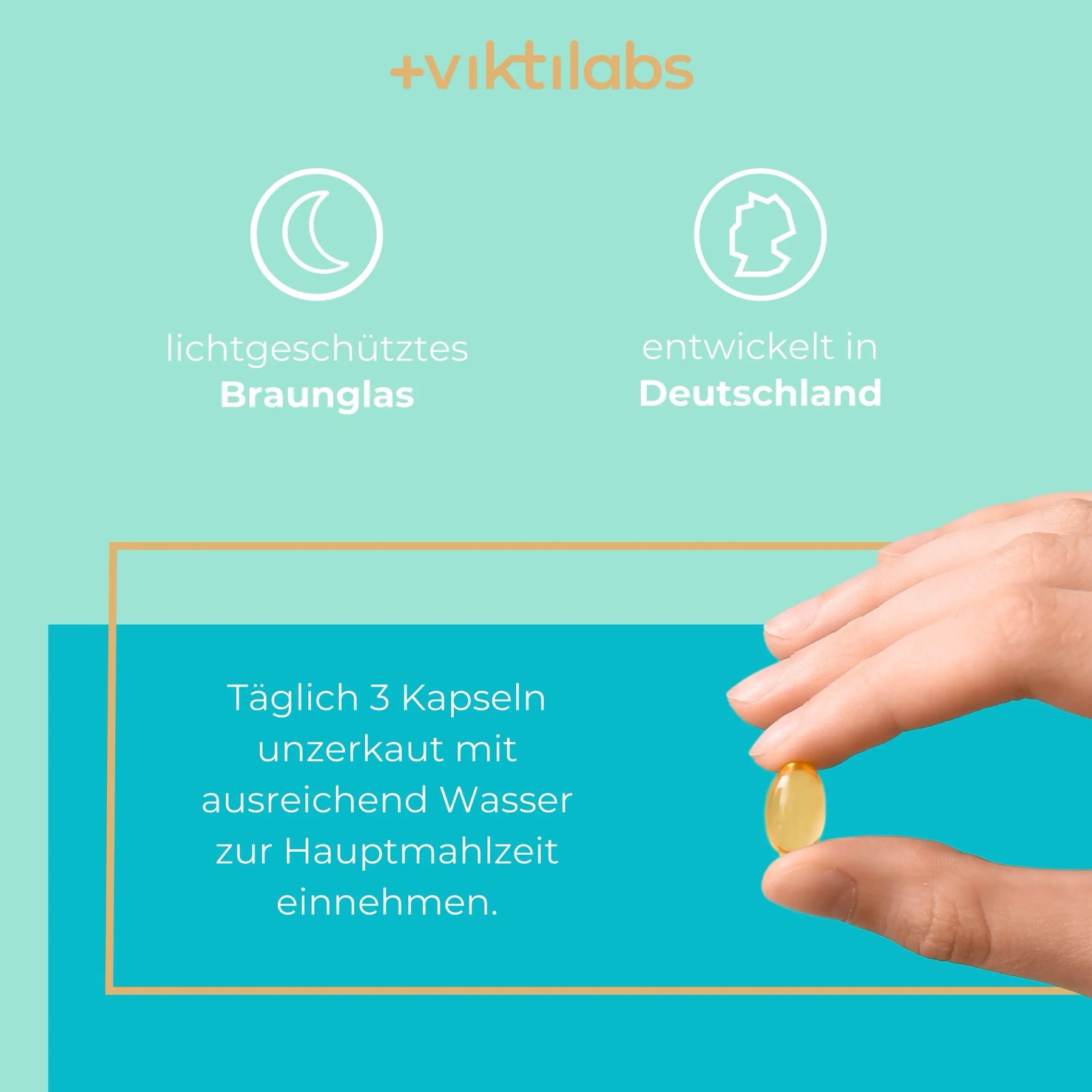 viktilabs-omega-3-fischoel-infografik-anwendung [lang-de]