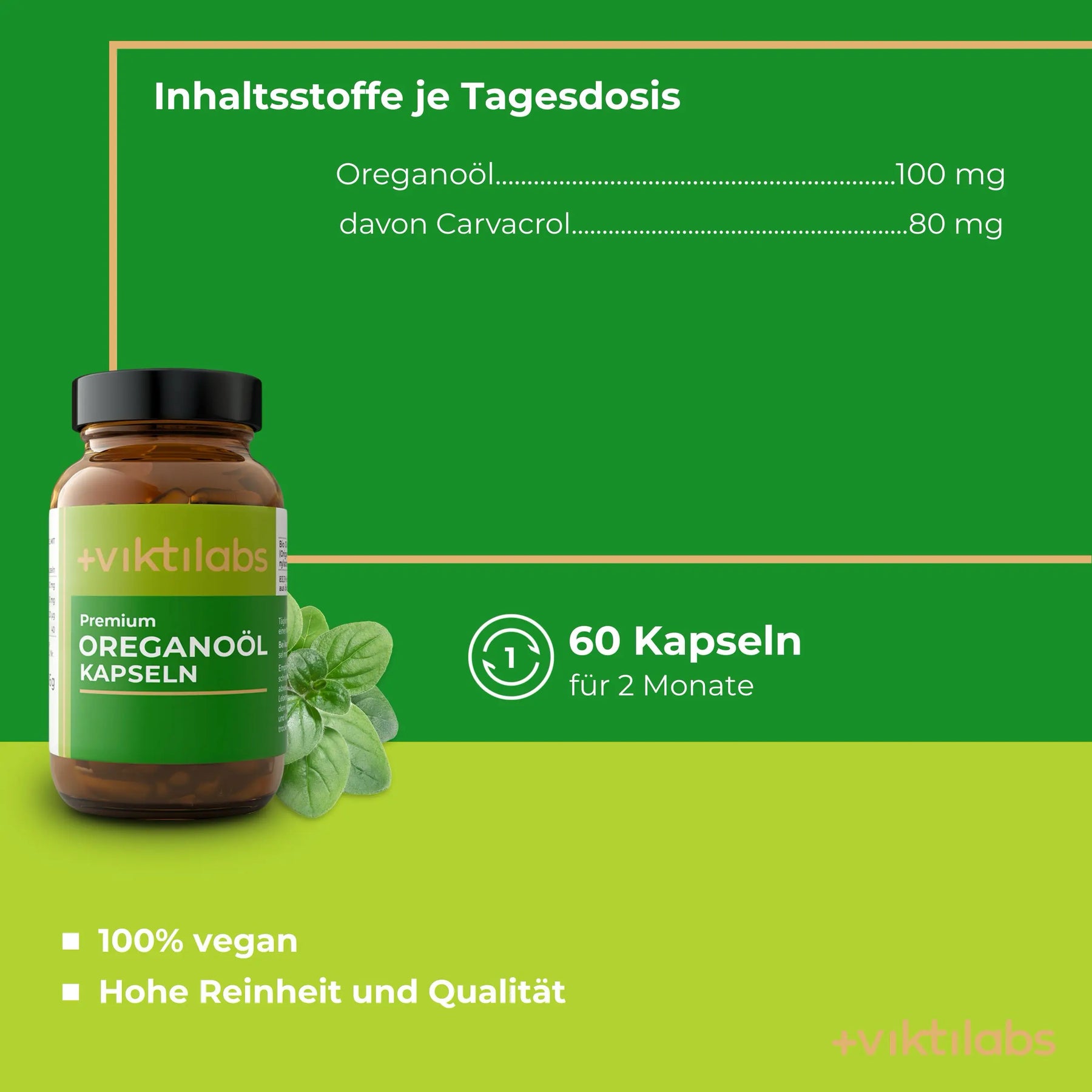 viktilabs-oreganoöl-infografik-inhaltsstoffe-pro-10g [lang-de]