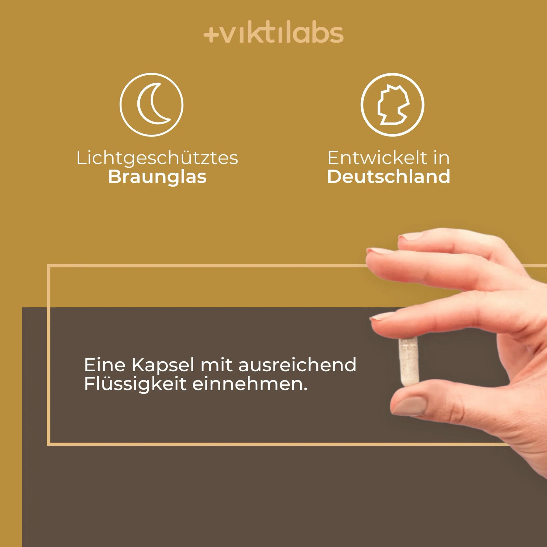 viktilabs-reishi-infografik-inhaltsstoffe-pro-portion [lang-de]