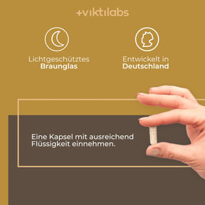 viktilabs-reishi-infografik-inhaltsstoffe-pro-portion [lang-de]