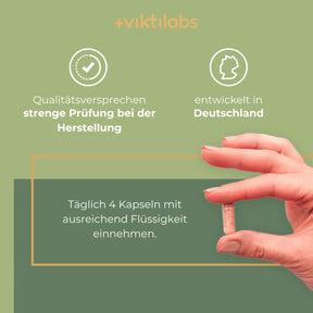 viktilabs-revitoxa-infografik-anwendung [lang-de]