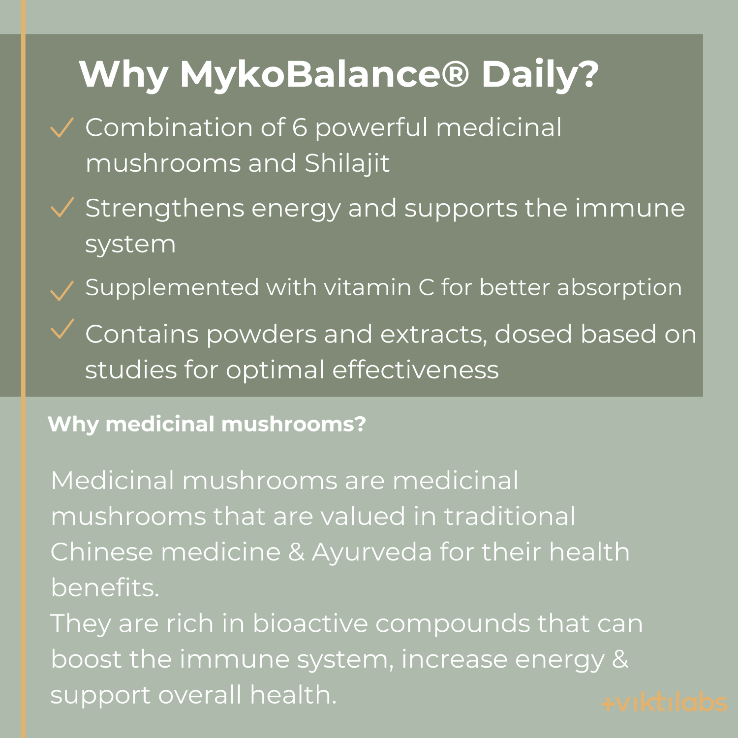 Englisch Mykobalance 2 [lang-en]