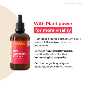 viktilabs-bundle-pflanzenpower-paket-produkt-2 [lang-en]