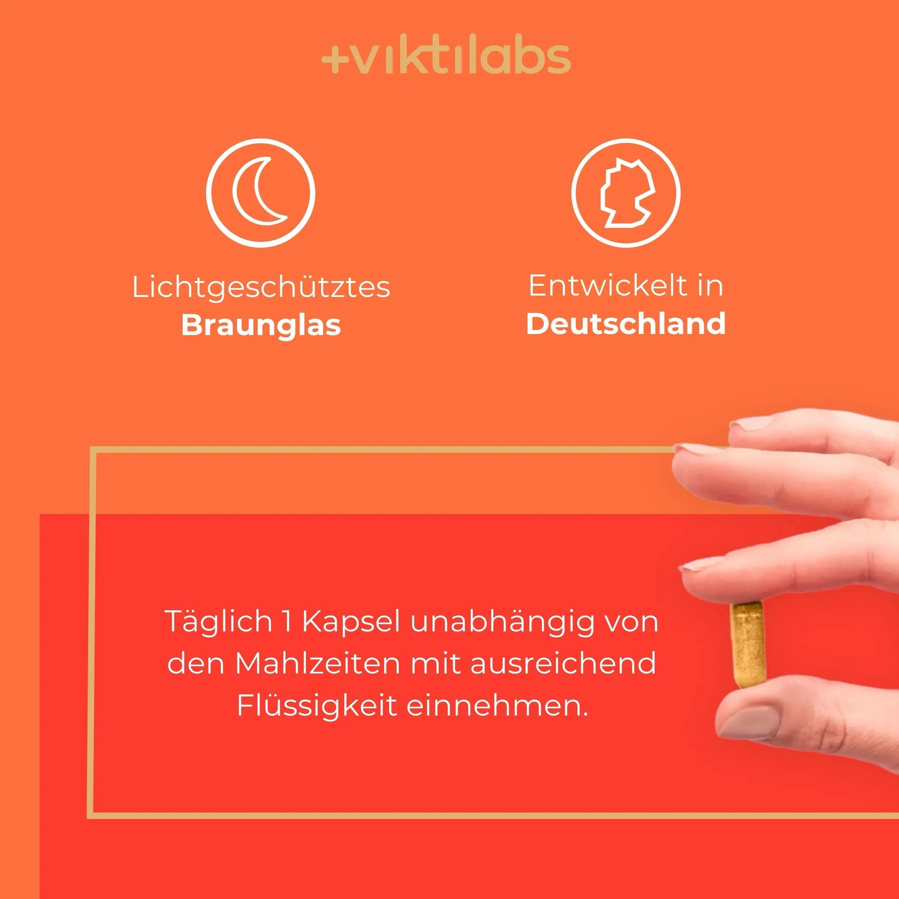 viktilabs-coenzym-q10-infografik-anwendung [lang-de]