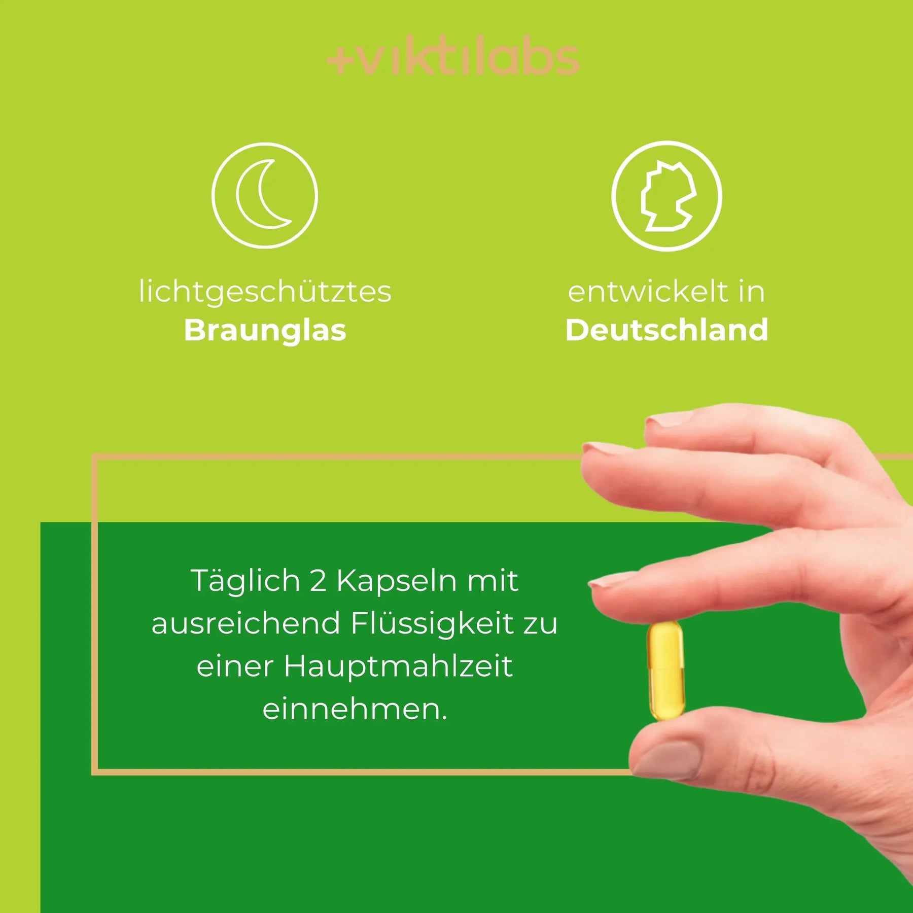 viktilabs-omega-3-vegane-kapseln-infografik-anwendung [lang-de]