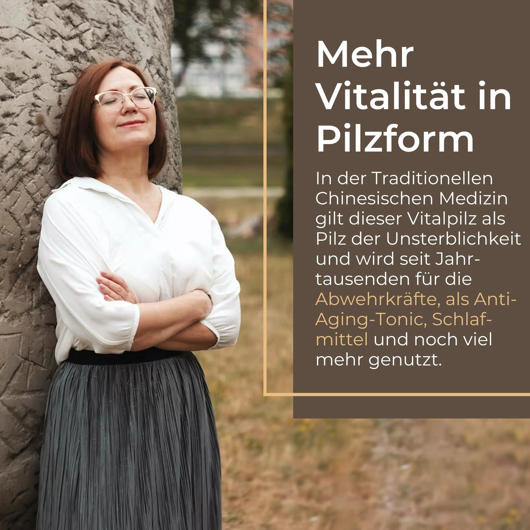 viktilabs-reishi-infografik-vitality [lang-de]